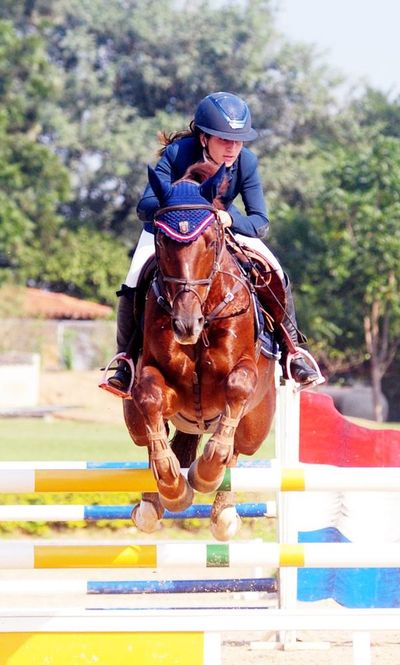 Cuenta regresiva del FEI Americas