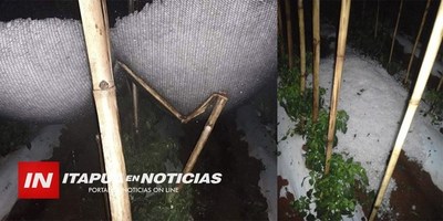 GRANIZADA DESTRUYÓ INVERNADEROS Y CULTIVOS DE AUTOCONSUMO EN SAN COSME Y DAMIÁN