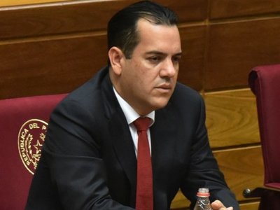 ¿Friedmann a un ministerio para que Cartes ocupe su banca en Senado?