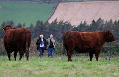 Lores aprueban ley contra un brexit sin acuerdo