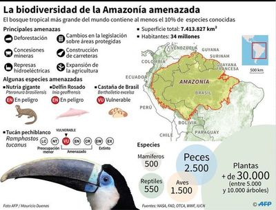 Bachelet alerta del catastrófico impacto para humanidad de fuego en Amazonía