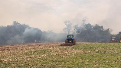 Incendio de gran magnitud en Naranjal