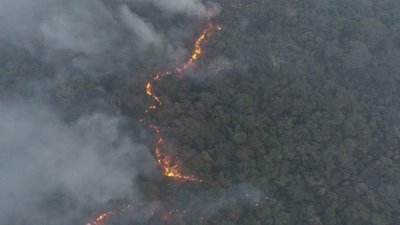 Incendios forestales: Emergencia ambiental para Alto Paraguay y Boquerón