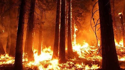 Incendios en Bolivia: Asamblea ciudadana declaró "desastre nacional" y crecen protestas contra Evo