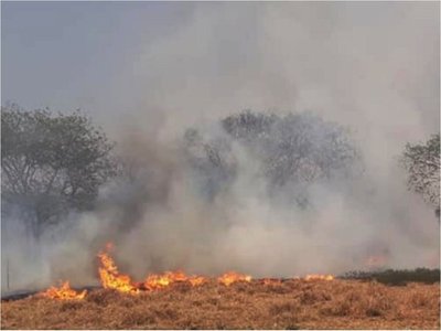 Salud insta a protegerse contra los efectos de los incendios forestales