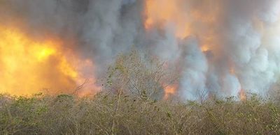 Gobierno está en “condiciones” de combatir incendios, garantizan