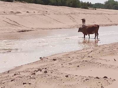 El 30% de las aguas del Pilcomayo ingresan por el nuevo canal Meyer, sostienen