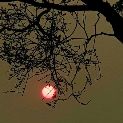 Índice de contaminación es el doble de lo recomendado