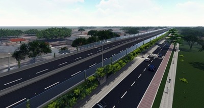 Corredor Vial Botánico contempla traslado de árboles y vivero para producir especies nativas