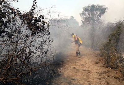 Chaco: Se registra nuevo foco de incendio en Chovoreca