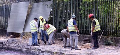 FG plantea proyecto para suspender obras en zona del Botánico y buscar alternativas