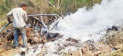 Aparecen nuevos focos de fuego en Alto Paraguay