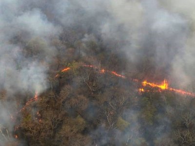 Tras leves lluvias disminuyeron focos, pero fuego no da tregua