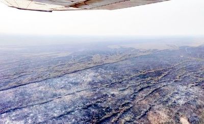 Panorama de desolación y destrucción en Alto Chaco