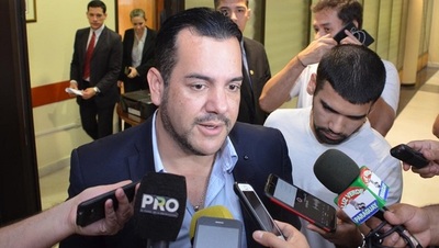 Descartan que candidatura Friedmann divida Añetete