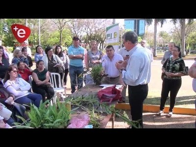 BOSQUE DE ORQUÍDEAS EN LA PLAZA DE ARMAS