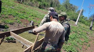 Aseguran que droga incautada en la Argentina ingresa desde Itapúa