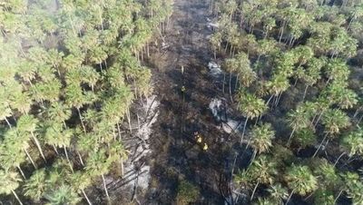 Mades advierte contra delitos ambientales durante el Rally