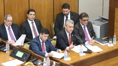 Villamayor fue interpelado en la sesión de Senadores
