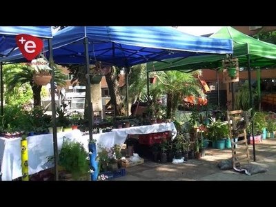 MUJERES APUESTAN POR LA FLORICULTURA
