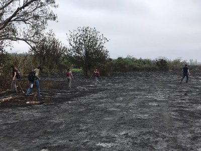 Acuerdan conformar grupos de trabajo de cara a la restauración del Parque Guasu