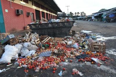 Latinoamérica, responsable de 20% de pérdida mundial de alimentos
