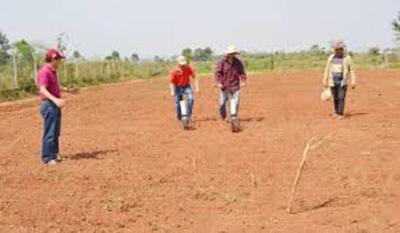 Anuncian pronóstico alentador para sector de la producción