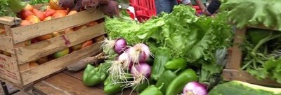 Federación campesina advierte que saldrán a las rutas