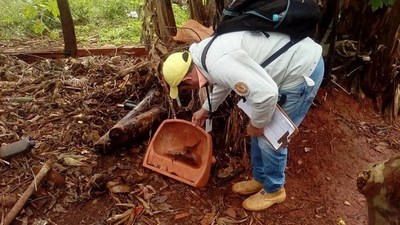 Alerta epidemiológica por aumento de casos de dengue en la región