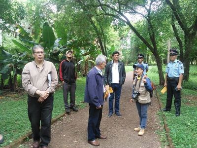 Proponen convertir en “bosque urbano” las últimas reservas naturales de Encarnación