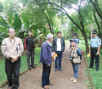 Piden mantener bosques urbanos en Encarnación