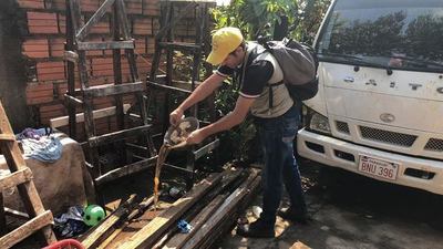 Eliminar criaderos, clave para frenar la expansión del dengue