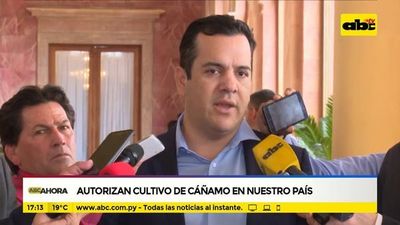 Ejecutivo decreta reglamentación de la producción industrial del cáñamo