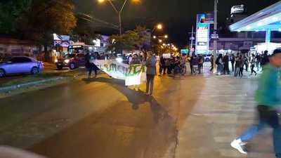 Manifestantes exigen que cese la tala de árboles en el Botánico