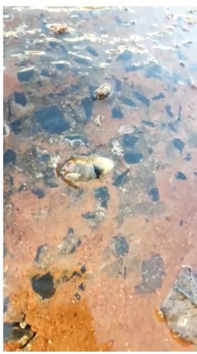 Agua desperdiciada en el barrio Herrera
