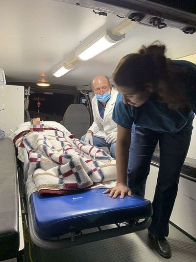 Matan a 9 miembros de comunidad mormona estadounidense en México