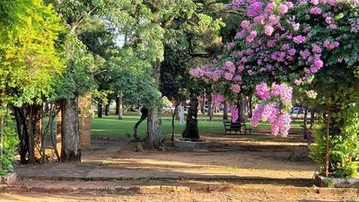 Cielo parcial nublado y mucha humedad en el ambiente en Misiones