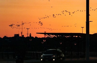 Anuncian viernes caluroso con chaparrones y tormentas