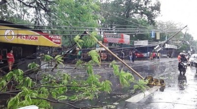 Más de 72 alimentadores de la ANDE salieron de servicios tras el temporal; seis siguen con averías