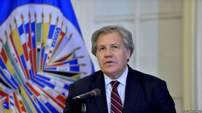 Los puntos clave del informe de la OEA que confirma el fraude en las elecciones bolivianas