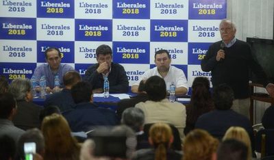 Ayala descarta que se unifiquen las bancadas liberales en el Senado
