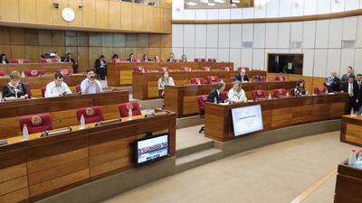 Mucho ruido y pocas nueces en el Senado