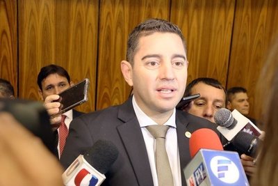 Alliana: “Hay viejos políticos que están embarrando las elecciones juveniles”