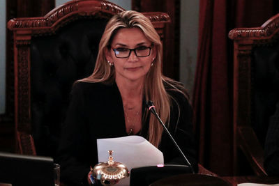 Bolivia: Senadora Jeanine Añez asume presidencia y "convocarán a elecciones"