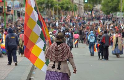 Países de la OEA piden nuevas elecciones en Bolivia “lo más pronto posible"