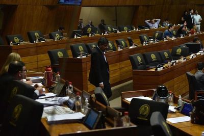 Hay quorum y Diputados reinicia estudio de Presupuesto 2020