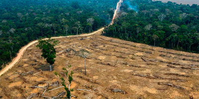 La deforestación en la Amazonía brasileña alcanza el mayor nivel en más de una década