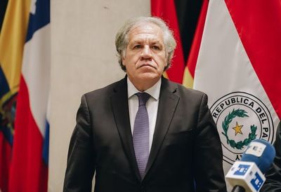 Paraguay, “determinante” en salida de Morales, admite secretario general de OEA