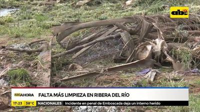 Falta más limpieza en ribera del río