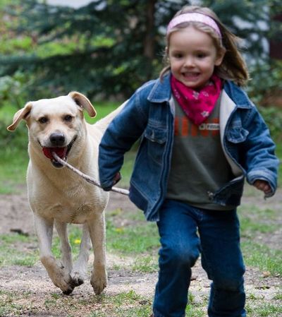 ¿Cómo convencer a un niño a renunciar a querer una mascota?